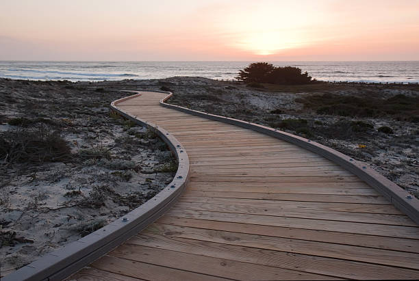 sonnenuntergang über eine gangway in asilomar state park - 4813 stock-fotos und bilder