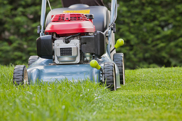 istock Lawn mower, Mowing the grass 149100075