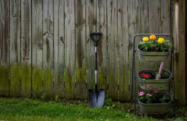 istock Gardening association with flowers and a shovel 1491004042