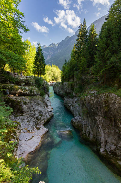 istock Soca turquoise river near Bovec in Slovenia 1491004518