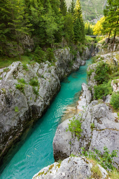 istock Soca turquoise river near Bovec in Slovenia 1491004669
