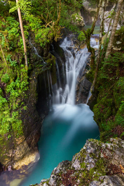 istock Soca turquoise river near Bovec in Slovenia 1491004940