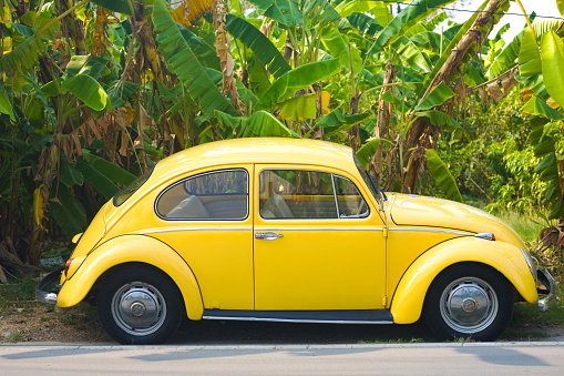 Old yellow VW Beetle parked in street in Bangkok Nawamin. Car is parked in front og small wild area of banana trees