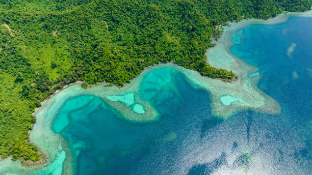 istock Tropical island and lagoon. Borneo, Malaysia. 1491018161