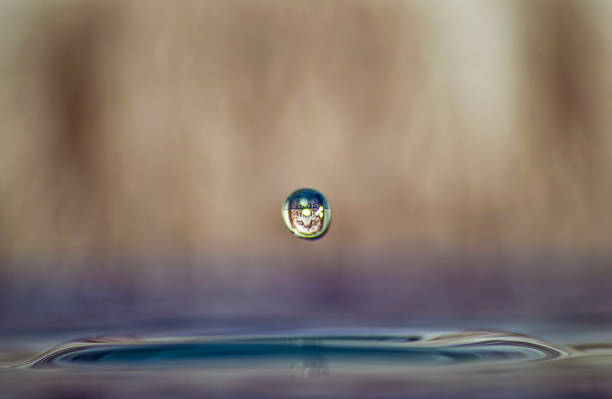 istock Colorful macro of water droplet 1491019058
