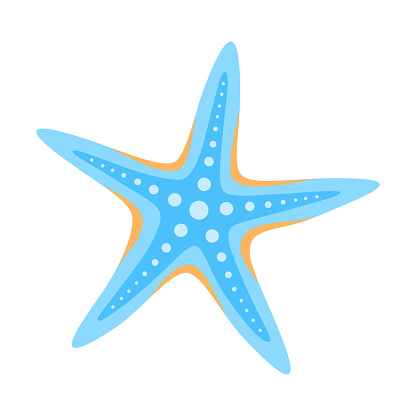 Blue and orange starfish isolated on white background. Flat vector illustration