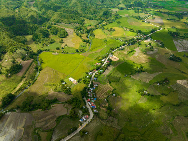 istock Agriculture in the mountains. 1491020811