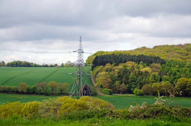 istock Electricity pylon in a meadow with forest in background 1491027664