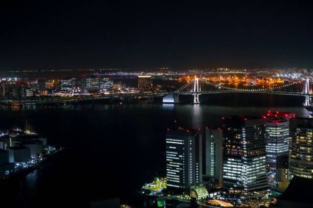 istock Tokyo bay cityscape at Night 1491028097