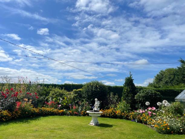 istock Nature landscpae in beautiful day. 1491028103