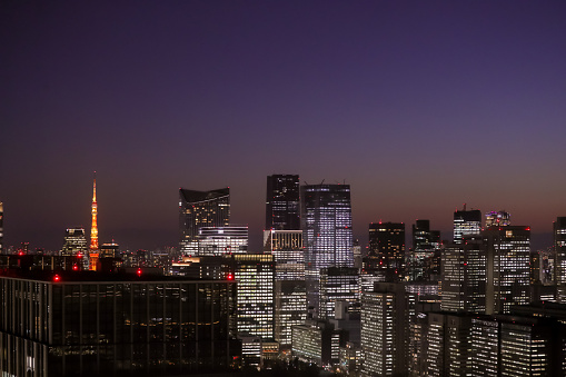 Roof Top view of Tokyo Tower and Tokyo citycape at night in Japan.