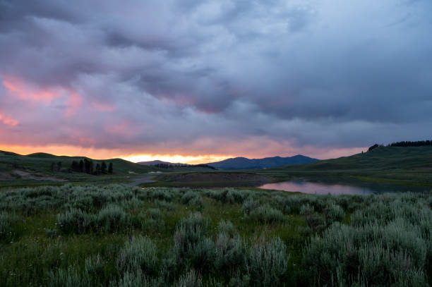 istock Sun Fades Behind Thick Clouds At Sunet In Hayden Valley 1491031558