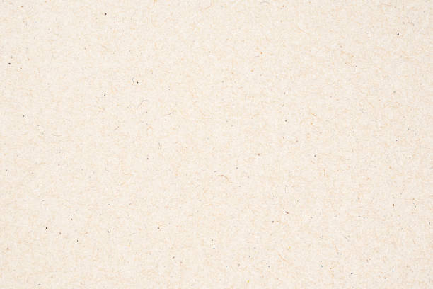 istock Paper texture cardboard background. Grunge old paper surface texture 1491034431