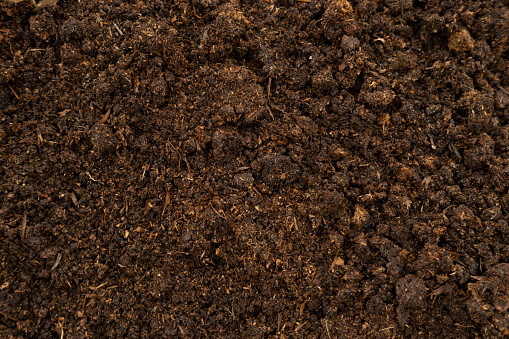 Horse Manure Compost for cultivation, agriculture. Natural Eco Bio Fertilizer. Closeup texture brown wallpaper. Composted steer manure background. Organic fertiliser. Animal Dung. Droppings plant food. Top view of  dirt. Closeup. black soil. Concept of global pollution, Save Earth day and Environment conservation.