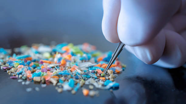 Macro shot of a person with medical gloves and tweezers inspecting a pile of micro plastics. Concept of water pollution and global warming. stock photo