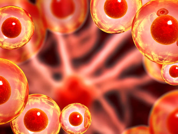 istock Horizontal banner with organic cells. Virus, germ or bacteria on abstract background. Science banner with cell stem. 3d render 1491040471