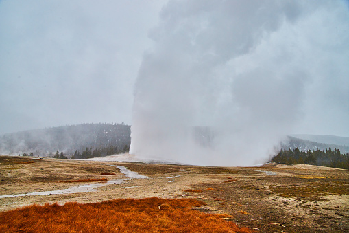 Image of Old Faithful going off on schedule in Yellowstone winter