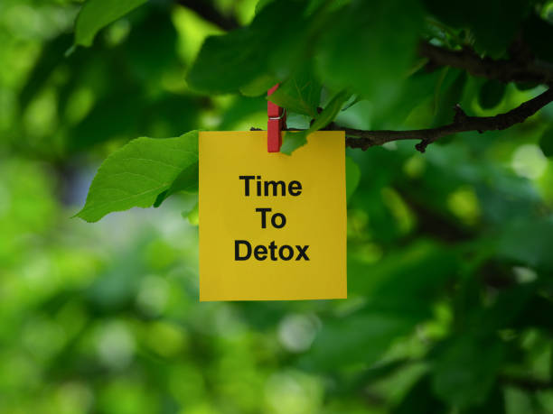 istock A yellow paper note with the phrase Time To Detox on it attached to a tree branch with a clothes pin 1491040740