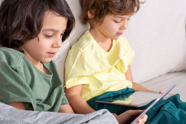 istock The brothers are playing tablet on the couch 1491041462