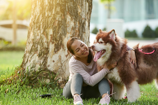 Happy woman hugging her big fluffy dog when they are spending time in park