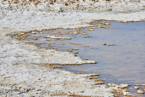 charco de agua en formaciones de sal en el valle de la muerte - mojave rattlesnake fotografías e imágenes de stock