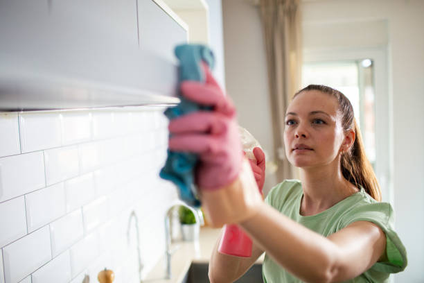 istock Young woman cleaning the kitchen in her home 1491043834
