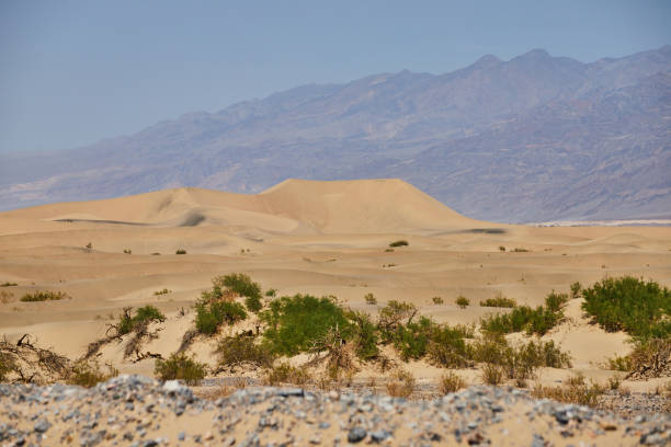 istock Sand dunes in Death Valley surrounded by mountains 1491044385