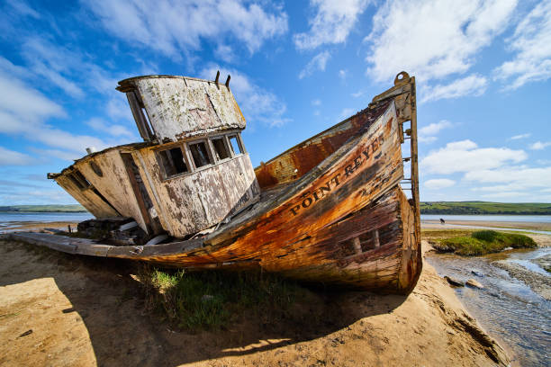 istock Sandy California beaches with large abandoned Point Reyes Shipwreck 1491044430