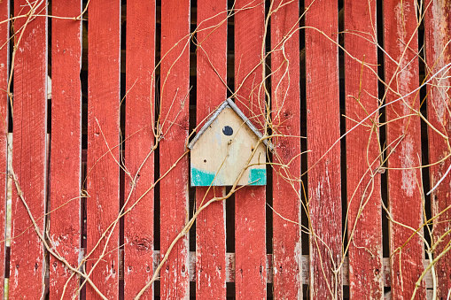Image of Small birdhouse on faded red barnwood boards with vines