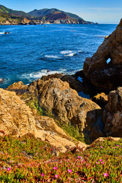 istock Spring flowers in foreground with cliffs and ocean waves meeting 1491045969