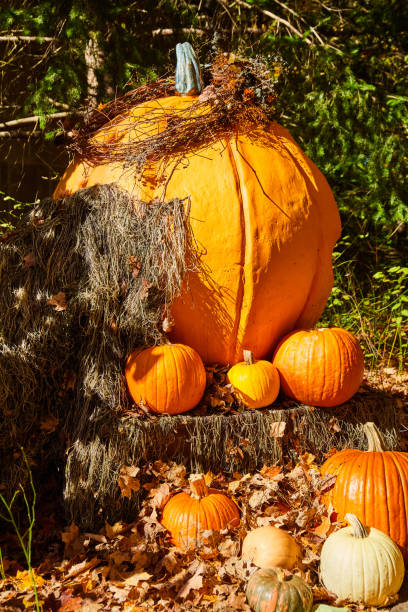 istock Stack of orange pumpkins on bales of hay with fall leaves 1491046055