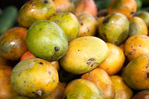 Mango fruits for sale at a roadside kiosk on Road 421, between Playa Pesquero \nand Holguin City.