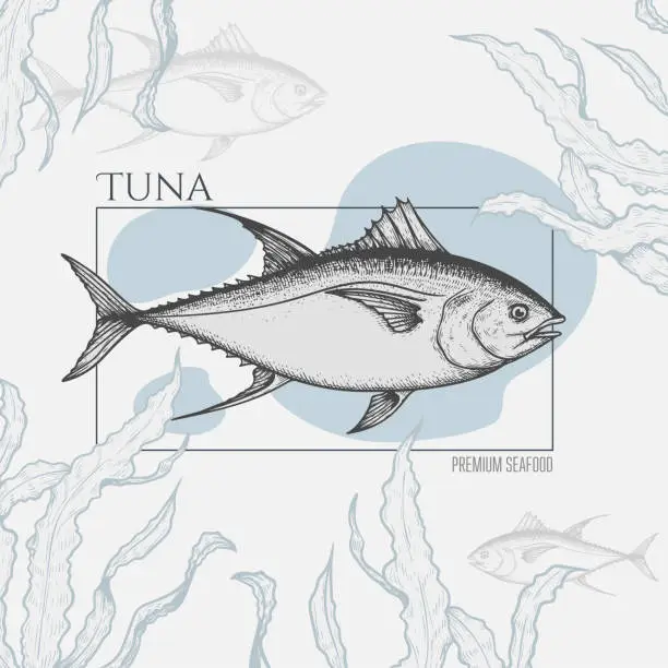 Vector illustration of Seafood banner with hand drawn tuna fish and seaweed. Sketch style marine designs template. Best for restaurant menu, seafood market designs. Vector illustration.