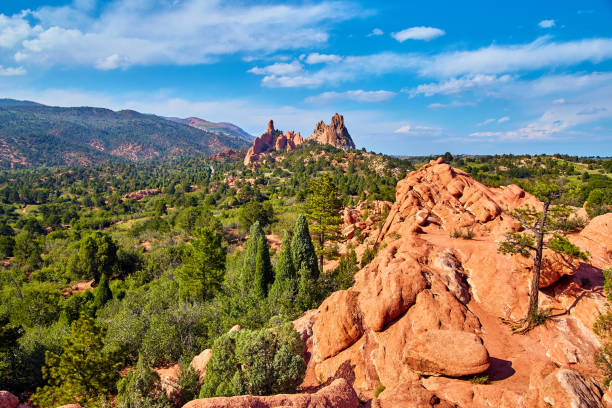 istock Mountain view landscape with lone tree on red rocks in desert mountains 1491049604