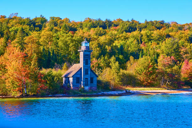 Free Stock Photo of A lighthouse with a tree in front of it | Download ...