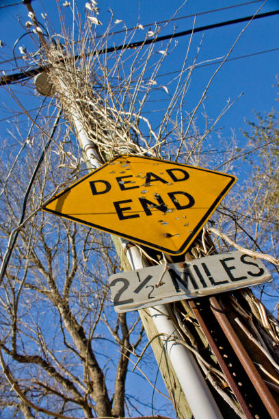 istock Overgrown telephone pole with Dead End road sign 1491050836