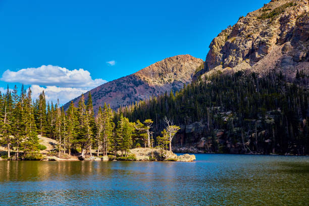 istock Pine trees next to large lake in the mountains with blue sky 1491051618