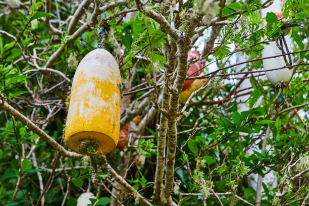 gałęzie drzew z dekoracyjnymi piankowymi kulami wiszącymi - cashew beer nuts nut food zdjęcia i obrazy z banku zdjęć
