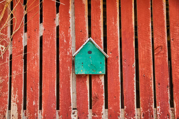 istock Turquoise birdhouse on faded red barnwood side 1491052857
