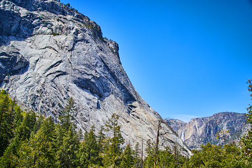 Image of Valley of Yosemite with pine tree forest and waterfall in distance