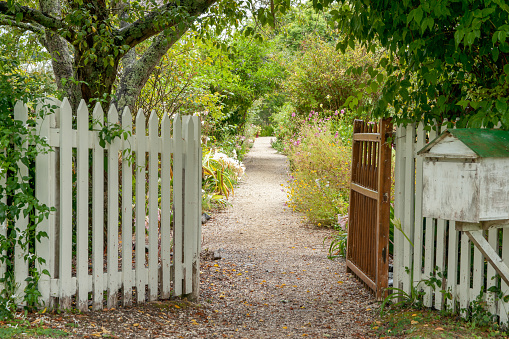 Gravel path leading  between tow open gated through old English style garden of wild and cultived flowers and trees.