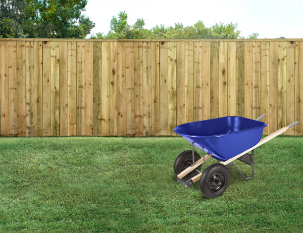 istock Empty backyard with green grass and wood fence and a wheelbarrow 1491054188