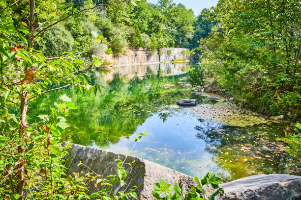 istock View through trees of empty quarry filled with water and a floating tire 1491054362