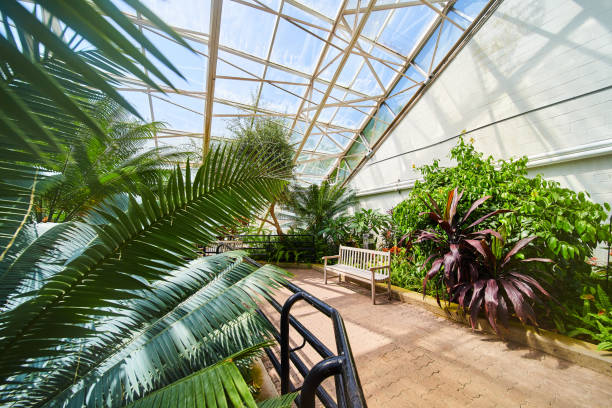 istock Walking path with lone bench in rainforest greenhouse 1491054579