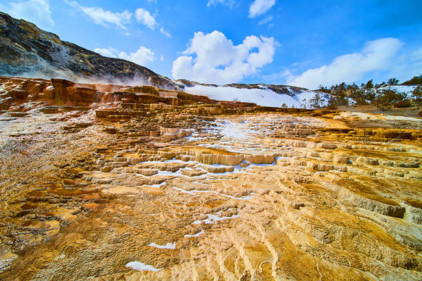 Image of Winter at Yellowstone hot spring terraces