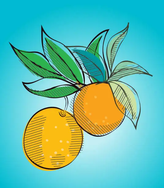 Vector illustration of Vintage Style Oranges On A Turquoise Background