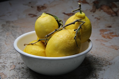 Yellow lemons from biological cultivation with little flaws in a white bowl. Close up, Studio shot.