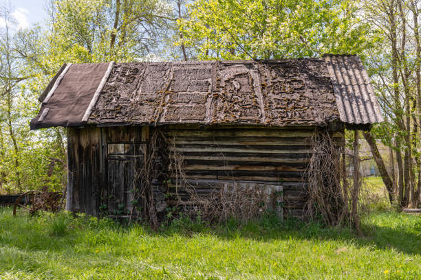 istock Frontal view of an old abandoned rustic log bath 1491064707