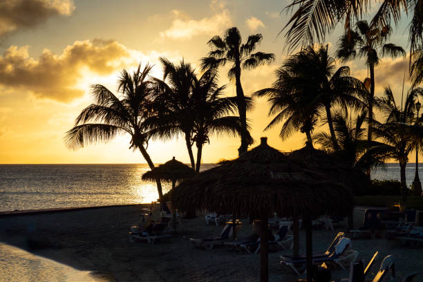 istock Sunset on Beach with Palm Trees and sand 1491068120