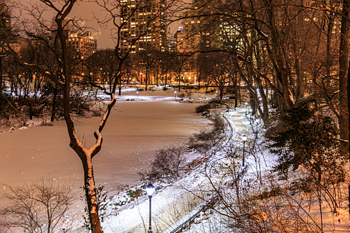 Frozen lake in Park and snowy path